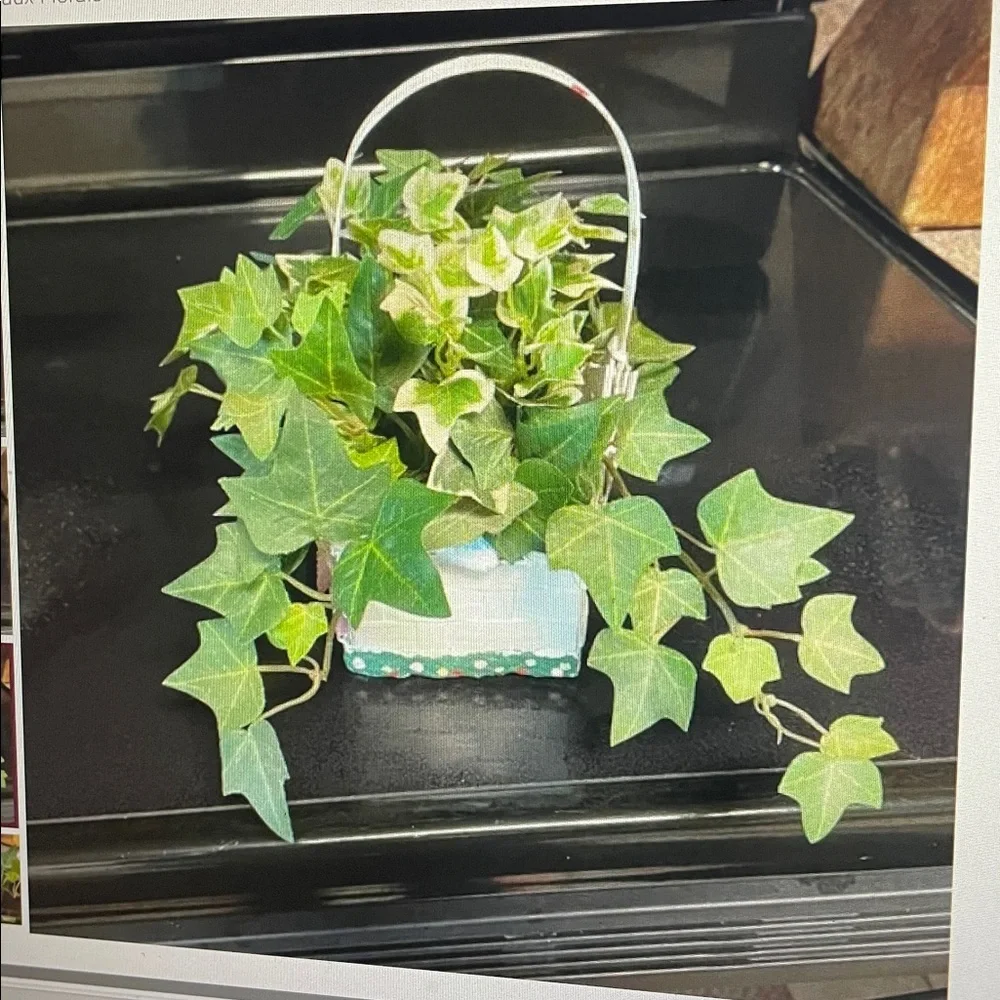 Flower Shop ivy basket arrangement